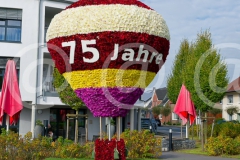 IMG0357