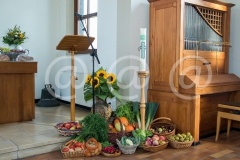 IMG0099